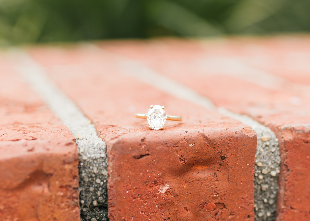 Ryder & Stephany- Engagement- The Claussen House