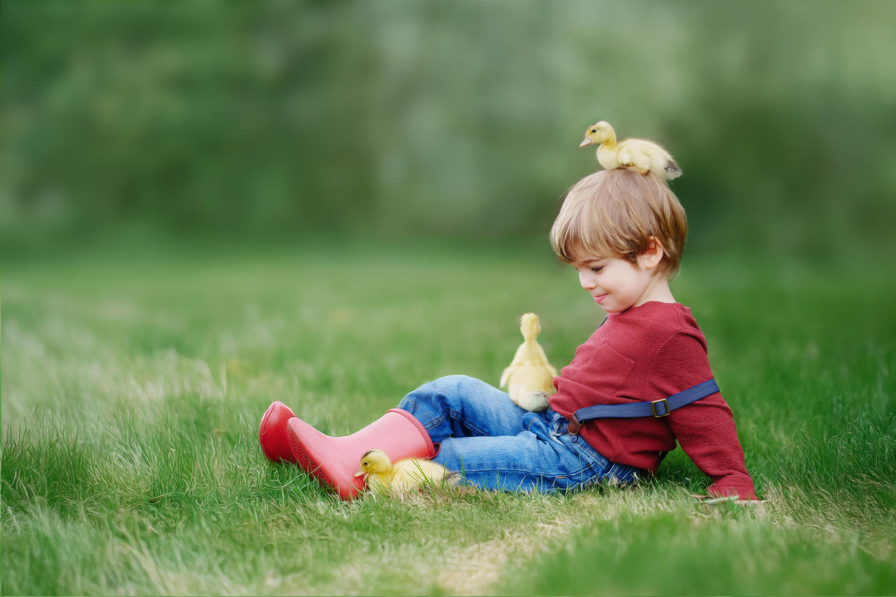 Custom Fairy Sessions for Pittsburgh, Mars and Cranberry Township