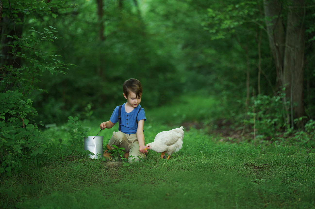 Custom Fairy Sessions for Pittsburgh, Mars and Cranberry Township