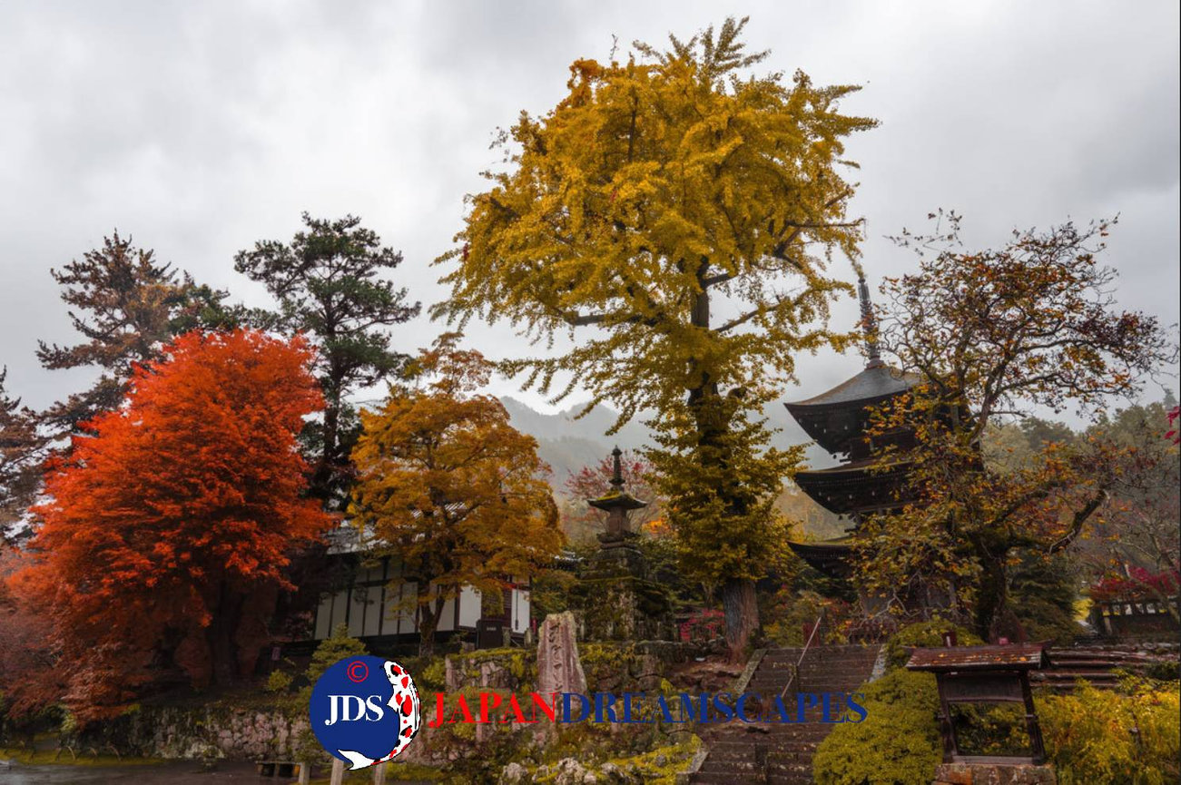 Japan Autumn Leaves Tour – Capture the Colors of Fall with JDS