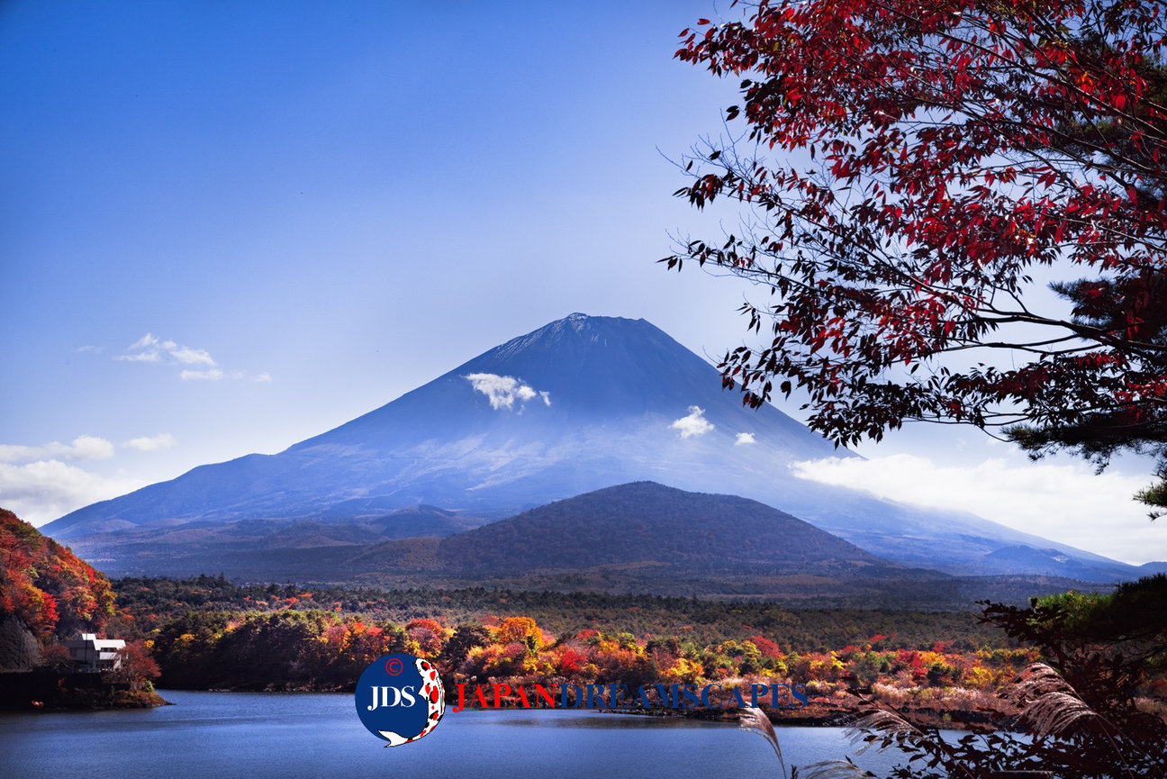 Japan Autumn Leaves Tour – Capture the Colors of Fall with JDS