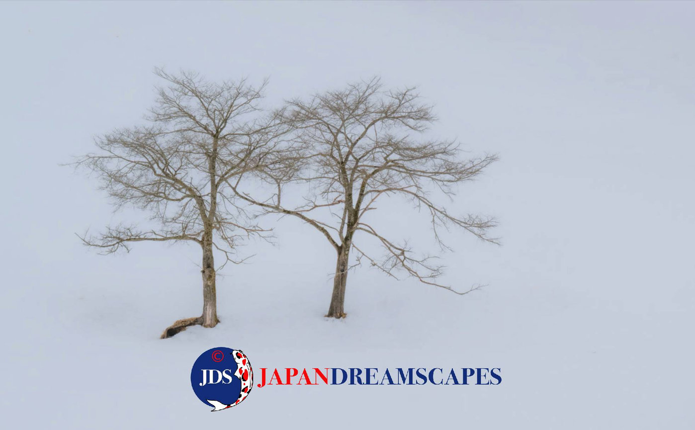 Ultimate Mount Fuji Autumn Photography Tour – Capture Japan’s Breathtaking Fall Foliage