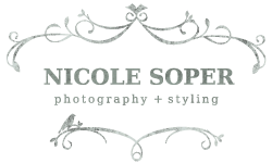 Nicole Soper Photography Logo