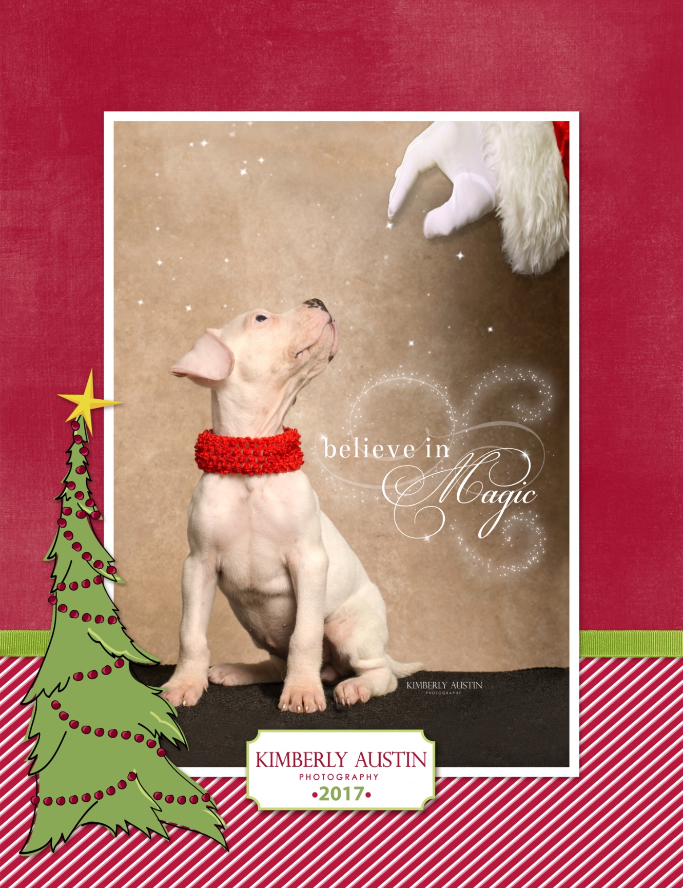 Kimberly's Keepsake Holiday Sessions - kimberly austin photography