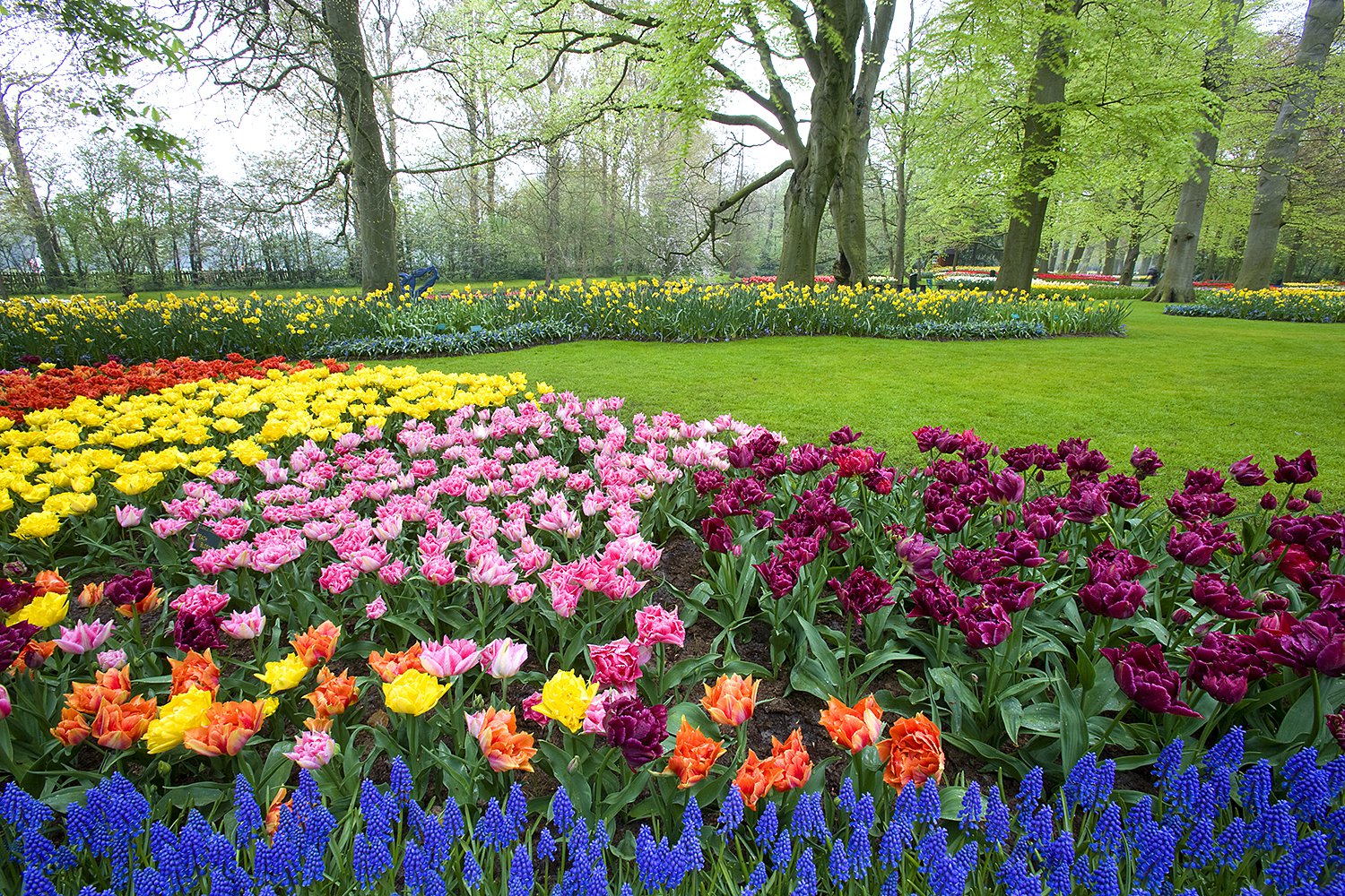 Keukenhof Gardens - Jim Zuckerman photography & photo tours