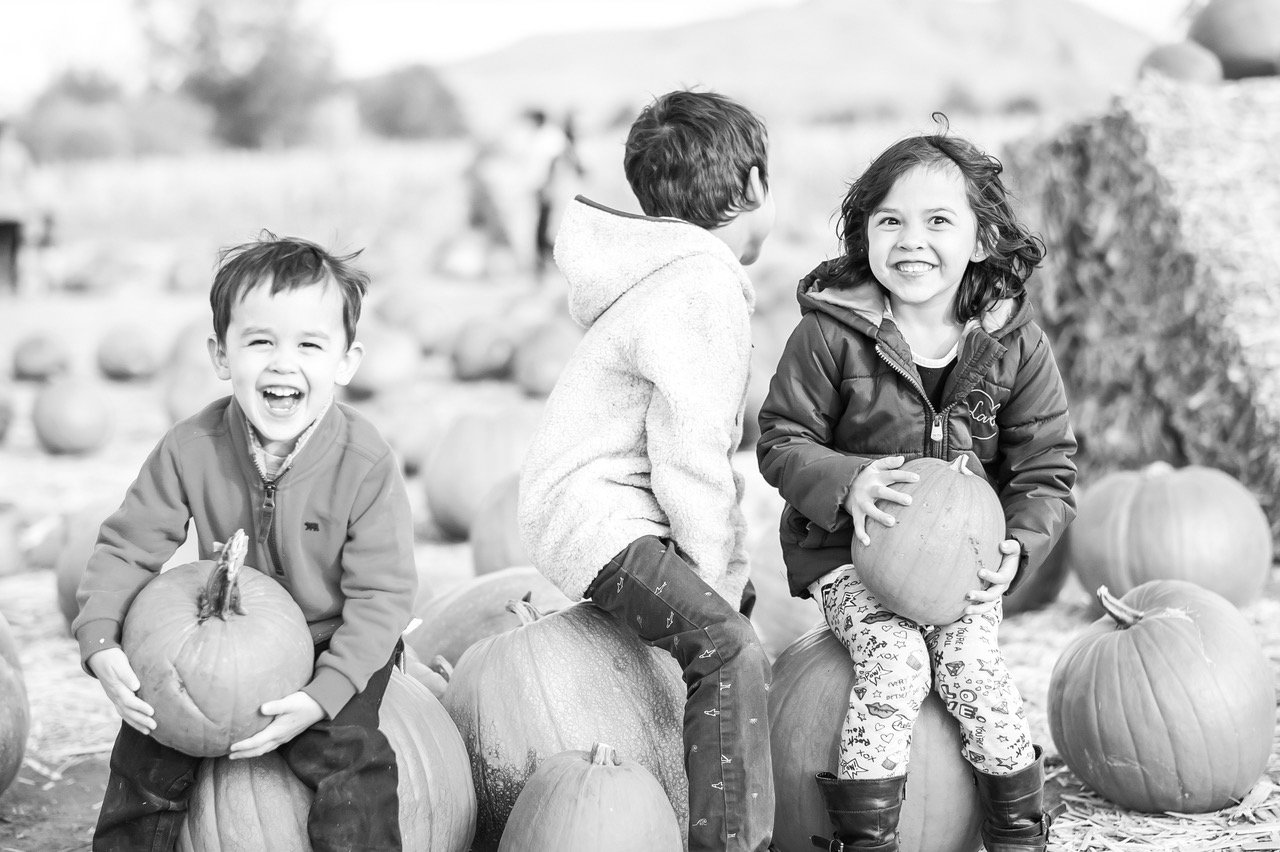 Client privacy and service experience with Midori Joy Photography, a Sparks, NV studio known for friendly communication and careful handling of details.