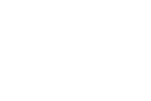 Lisa Roy Photography Logo