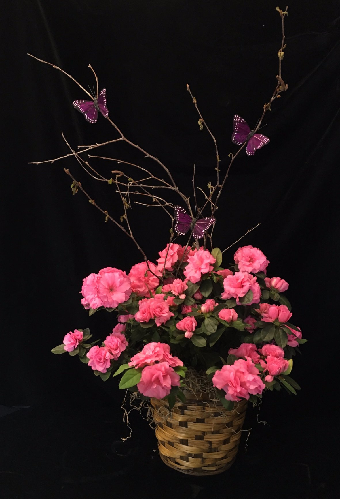 Everyday Flowers - D&D Floral Design