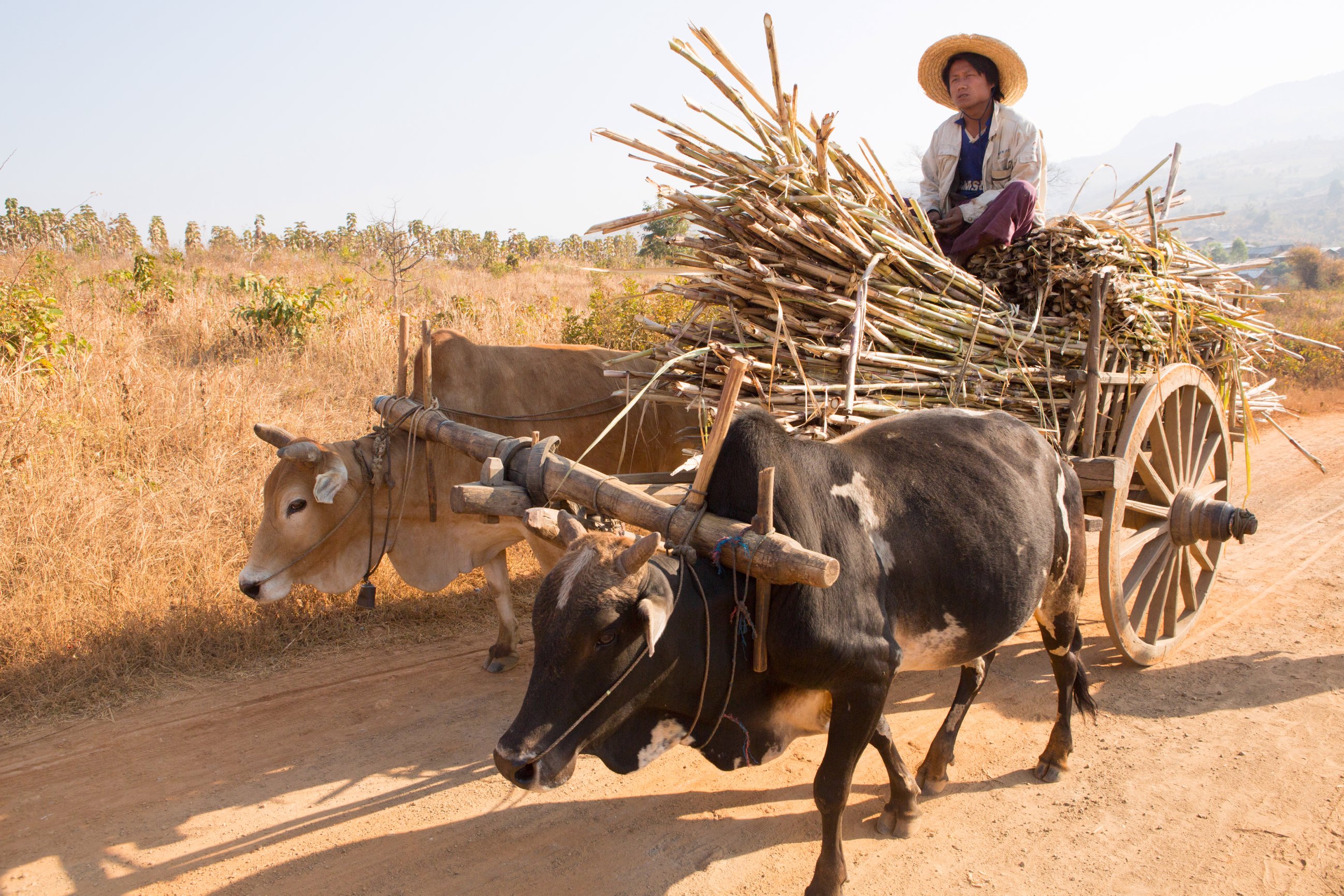 A Hike In The Shan Hills Of Inle Lake Myanmar Matilde Simas Photography