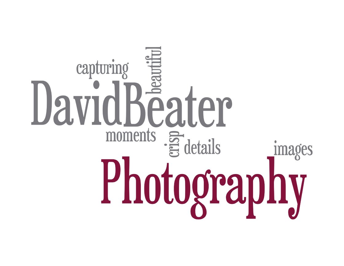 DAVID BEATER PHOTOGRAPHY