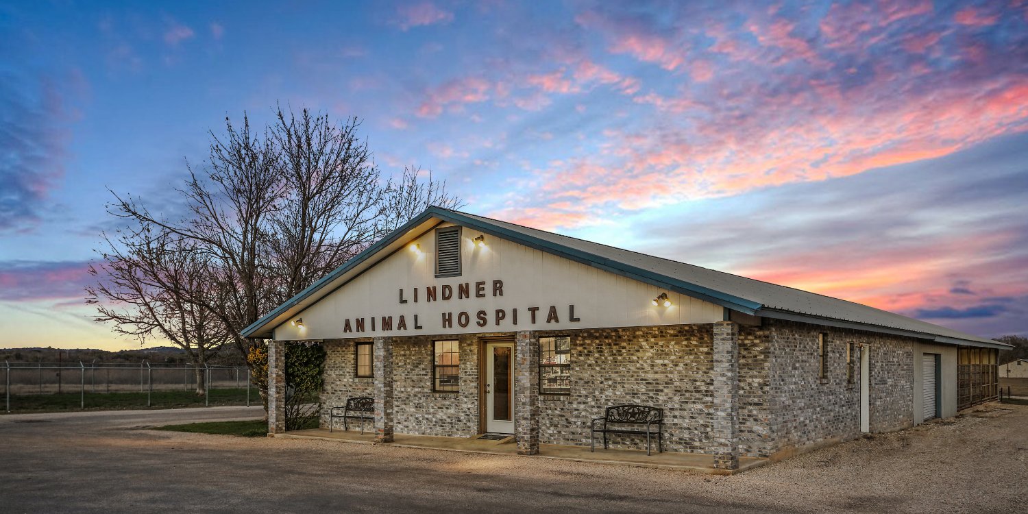 Home - Lindner Animal Hospital Comfort Texas