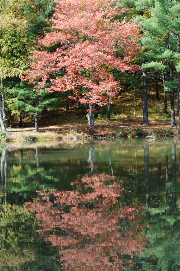 Landscape Art For Sale L. Dec Photographic Design