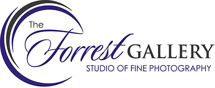 The Forrest Gallery Logo