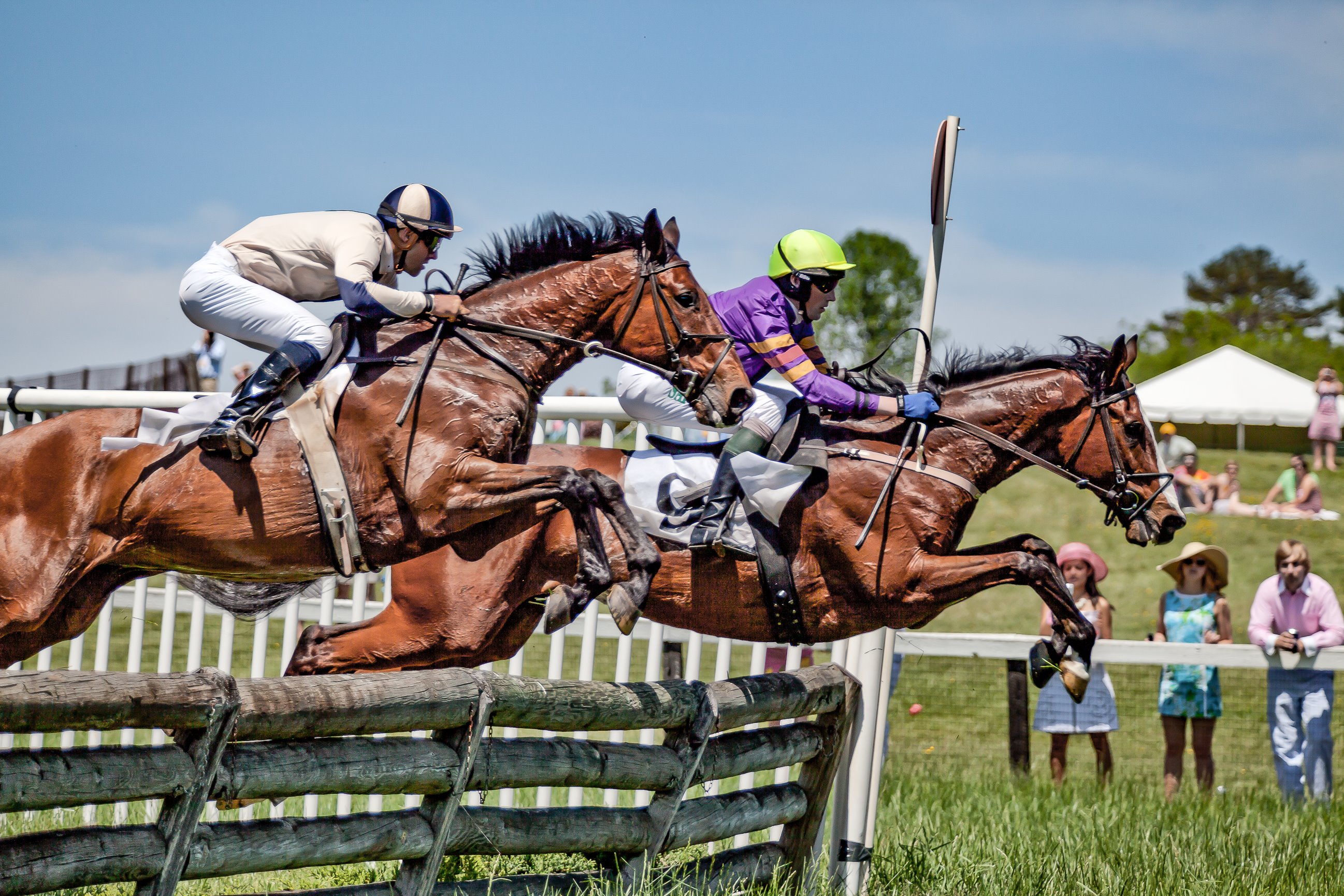 Virginia Equestrian - Camden Littleton Photography