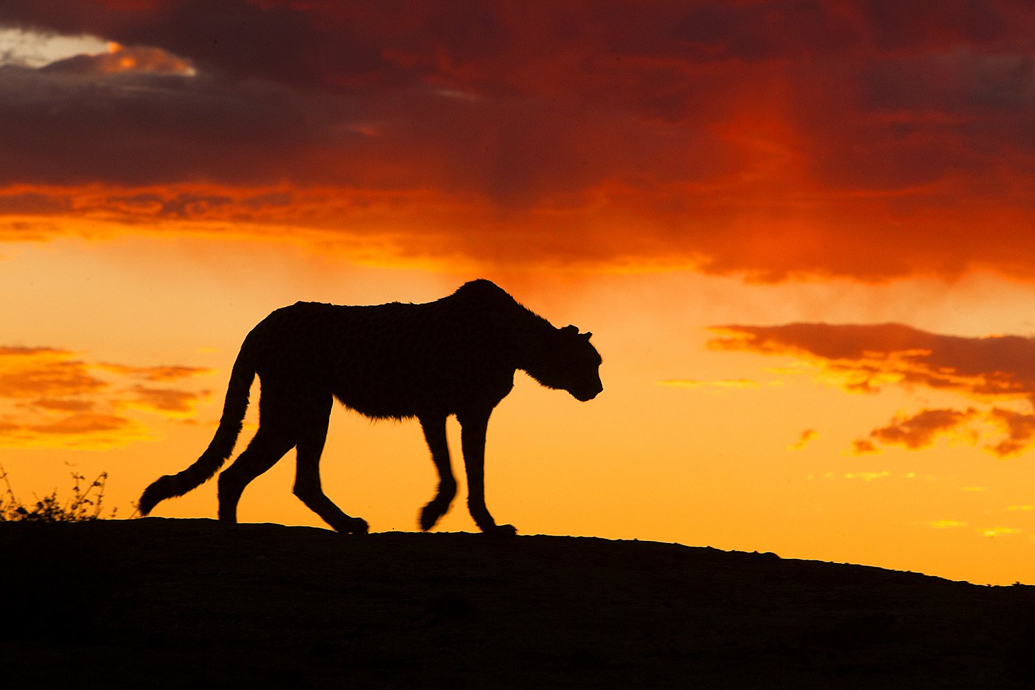 shooting-silhouettes-jim-zuckerman-photography-photo-tours