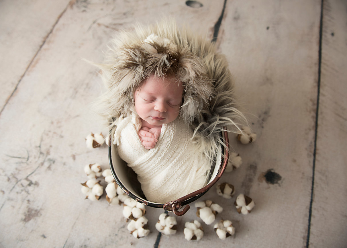 Contact Nj S Best Baby Photographer Sugarlove Studio