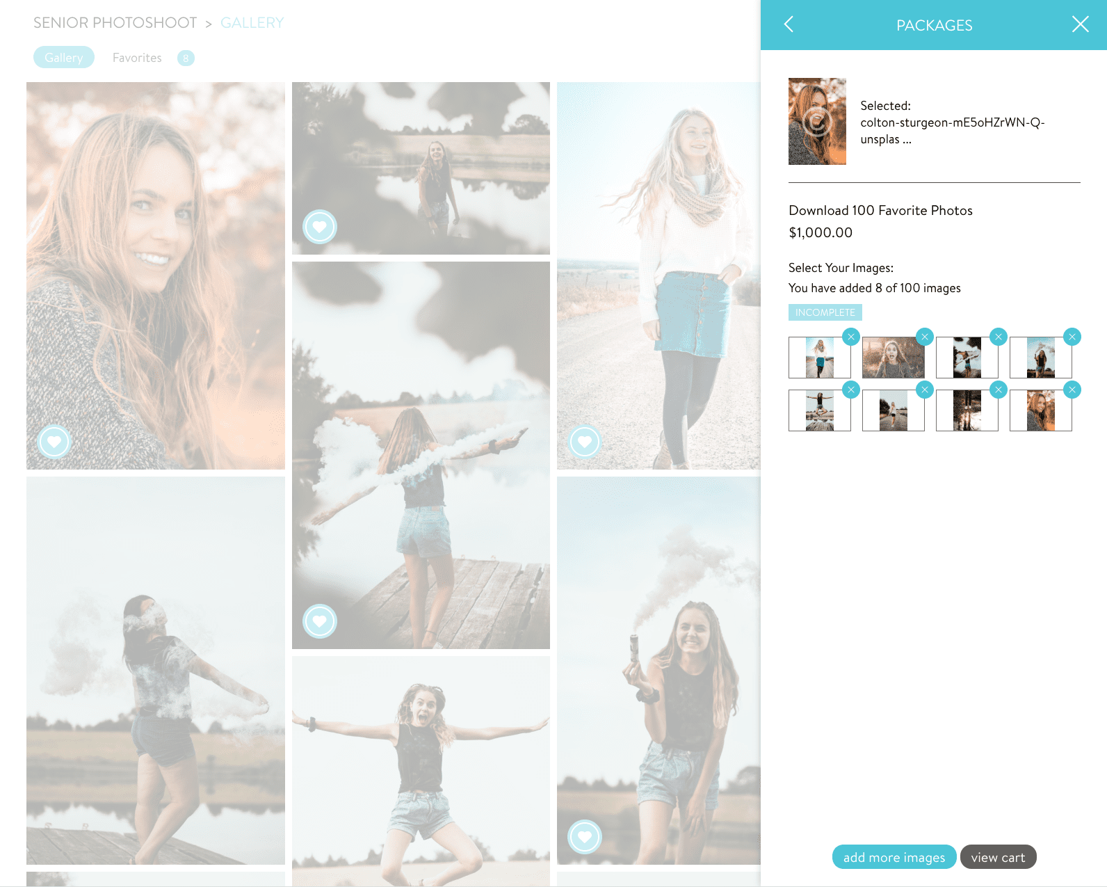 Bulk Downloads Available with Proofing