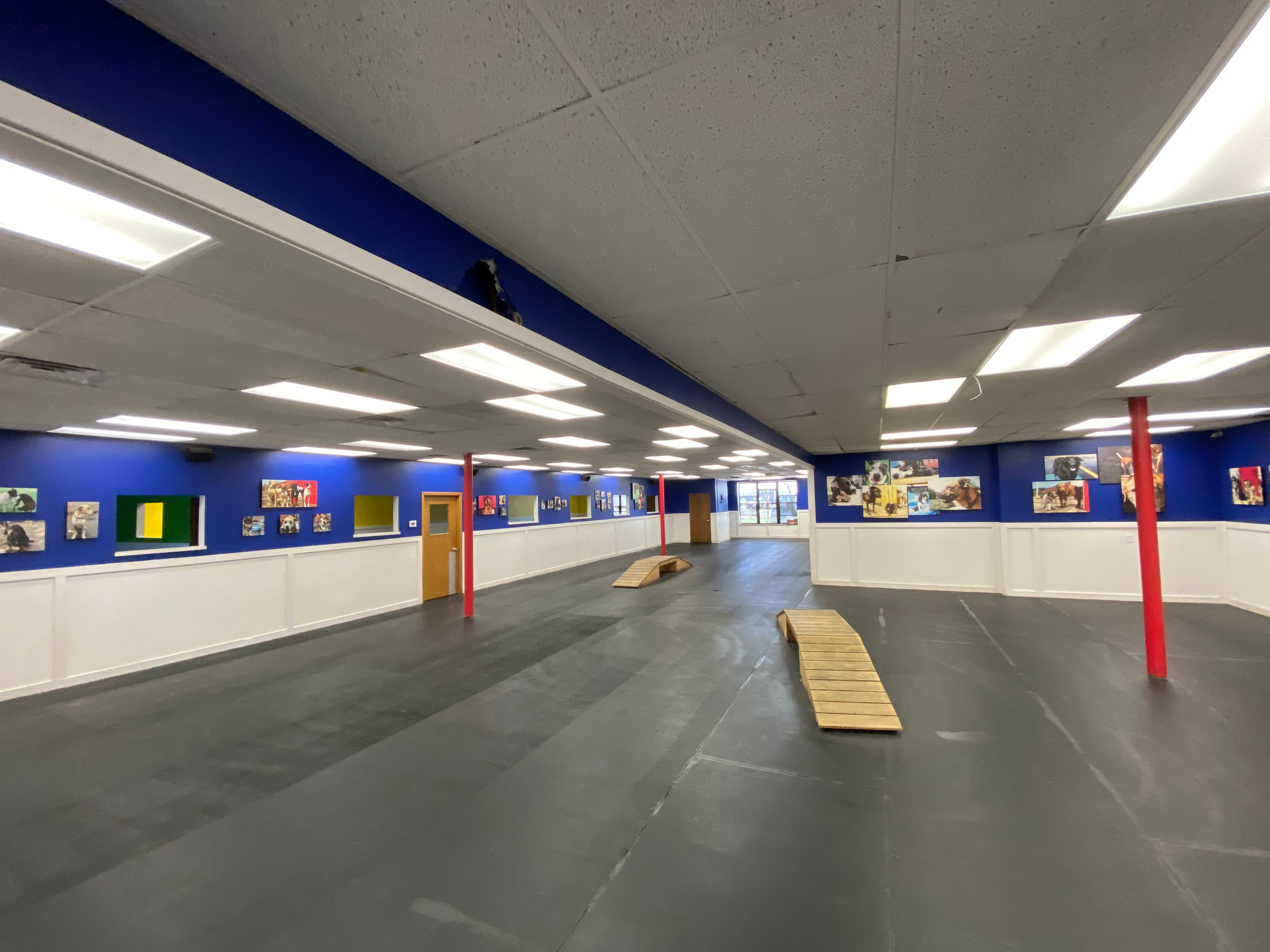 MILWAUKEE - Playtime Doggy Daycare