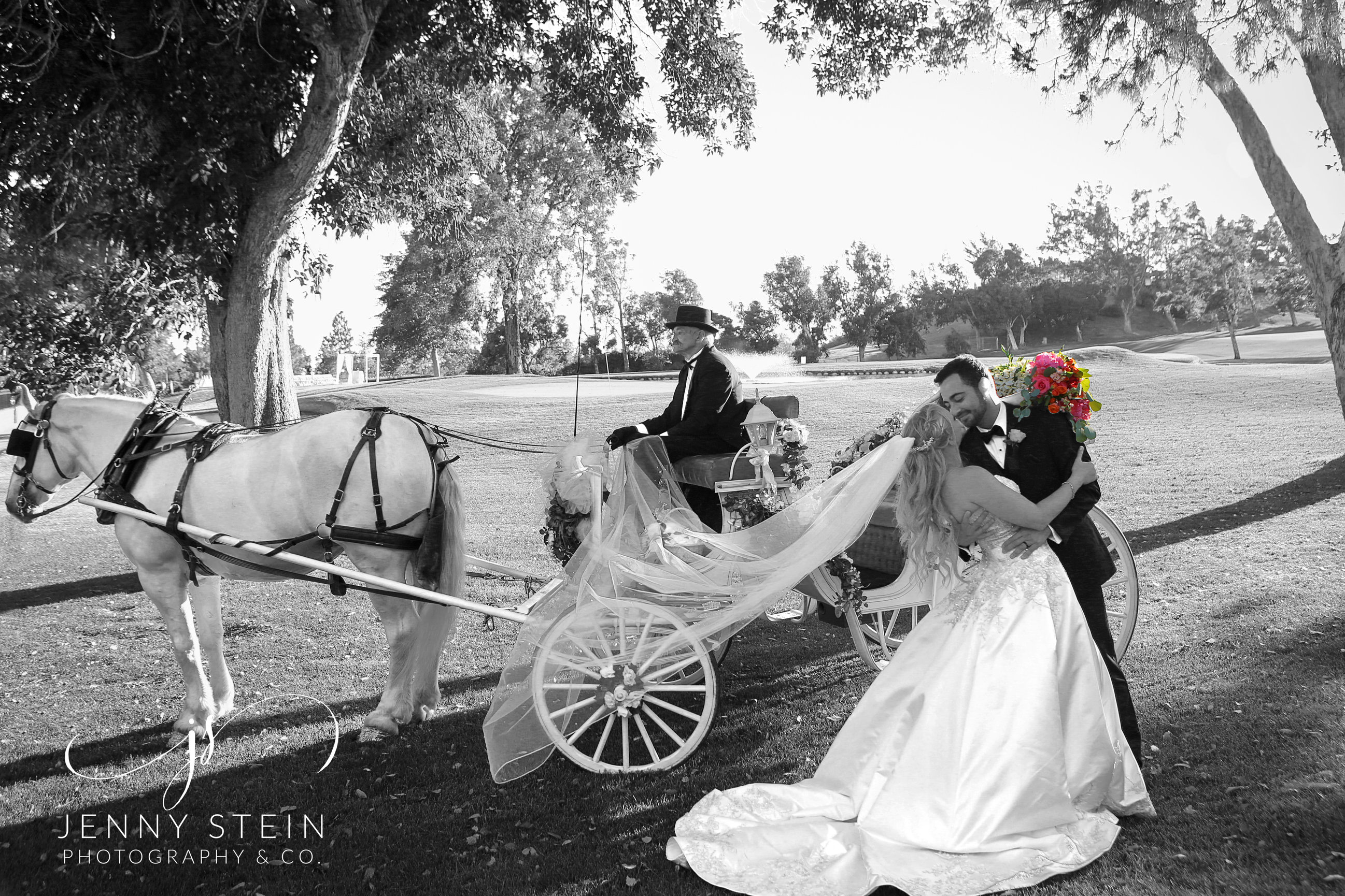 Love & Marriage go together like a Horse & Carriage - Jennifer E. Stein - Love And Marriage Go Together Like A Horse And Carriage