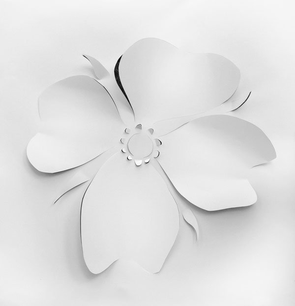 Wallflowers Longstreet Collection