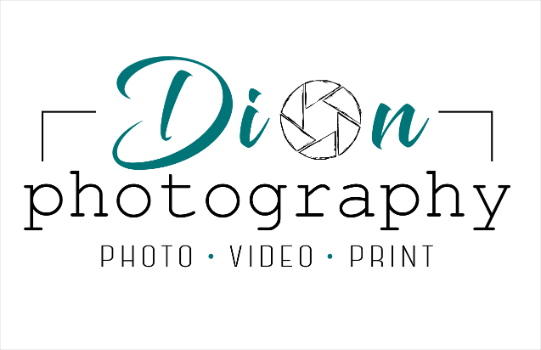 Dion Photo Video Logo