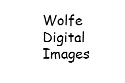 Wolfe Digital Images Logo
