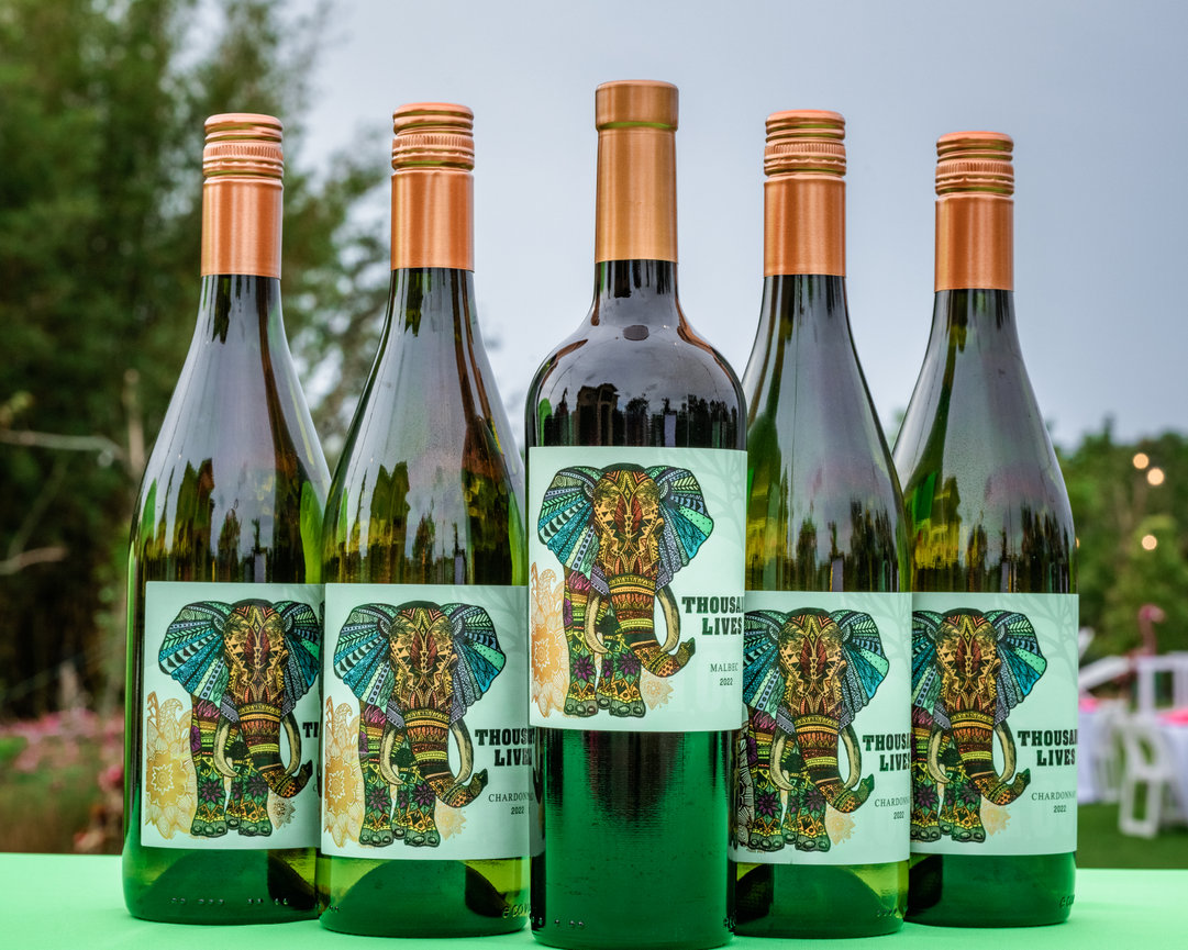 Bottles of wine with artistic elephant label, arranged on a green table in an outdoor setting.