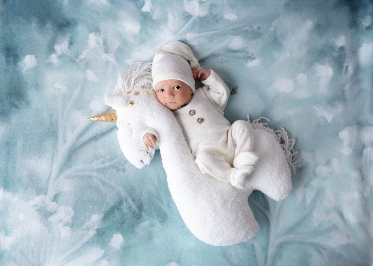 Precious newborn baby portrait - Andrea Ruff Studios, Orlando