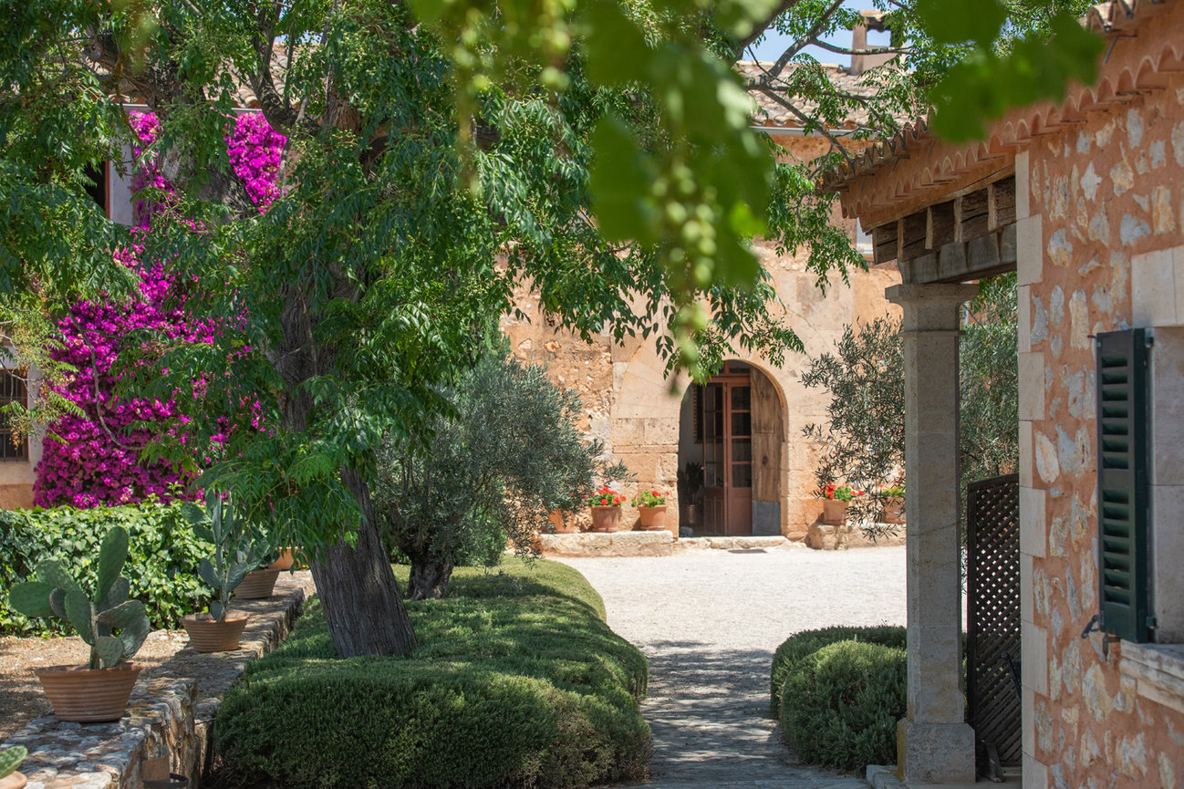 Rustic courtyard with stone building, potted plants, lush trees, and vibrant purple flowers under clear sunlight. Mallorca