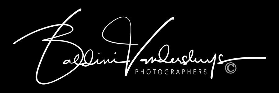 Baldini Vandersluys Photographers Logo