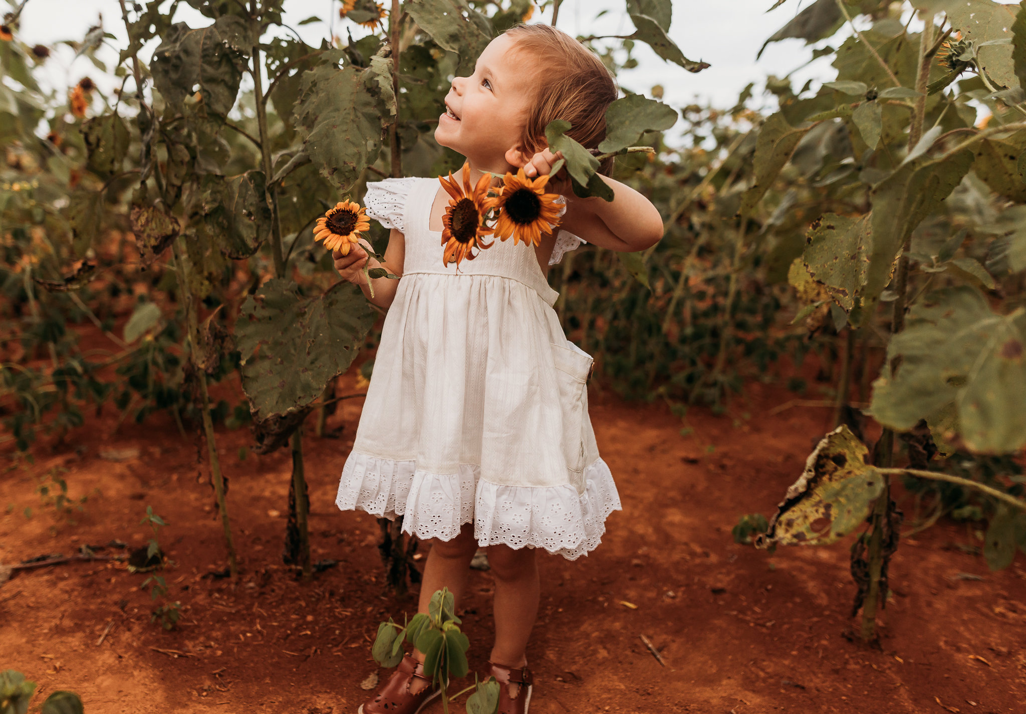 Sunflower Field Session Huntsville Alabama Smith Family Tiffany Crenshaw