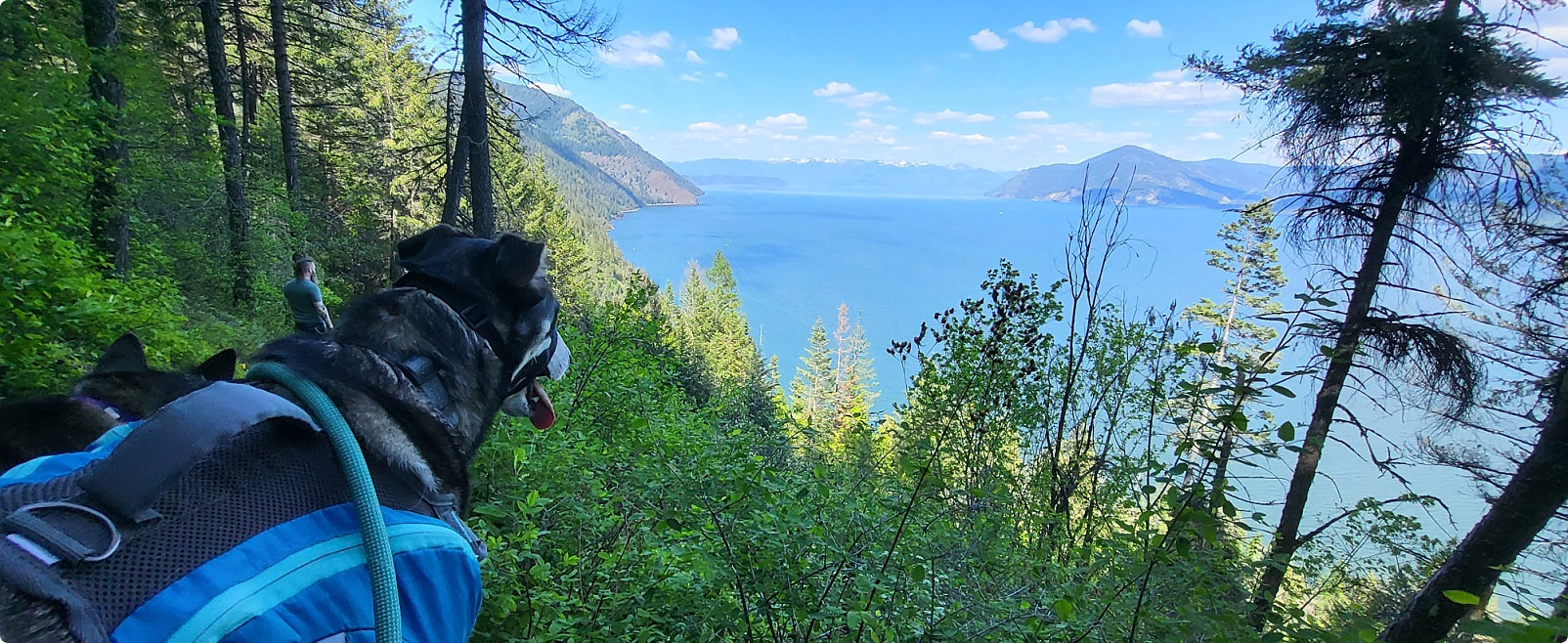 Hike-Dog Review: Evans Landing
