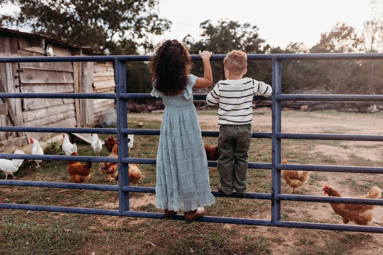 two children hang on a fence looking at chickens in a Huntsville, Alabama family photoshoot