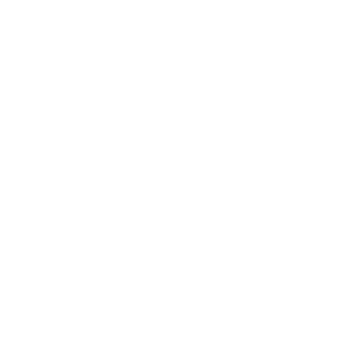Mr. Brown Photography Logo