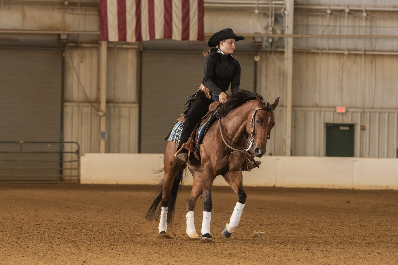 View Horse Show Galleries Here