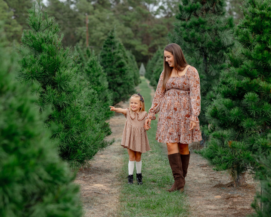 Christmas Tree Farm pictures Spring, Tx