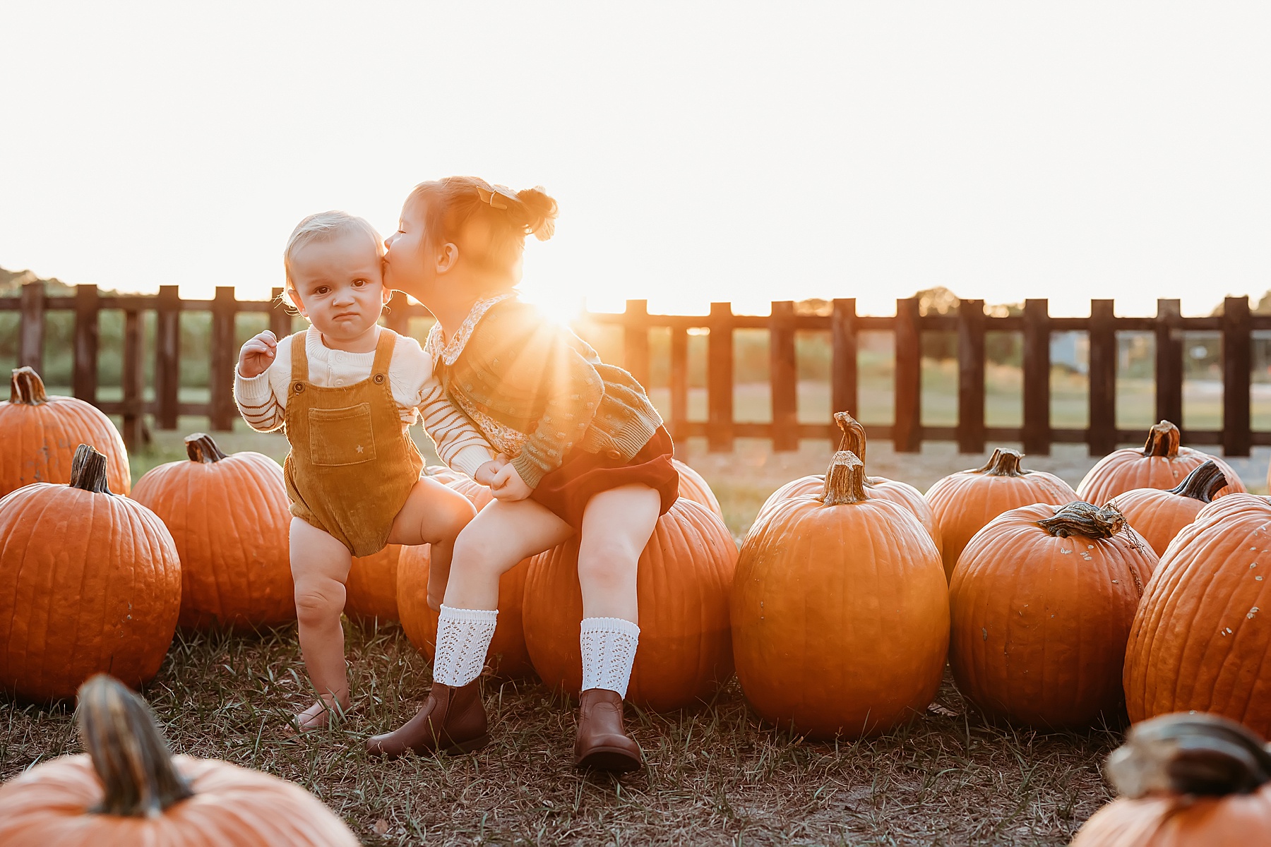 little children sitting on pumpkins in the fall wearing fall clothing in the backlit sun