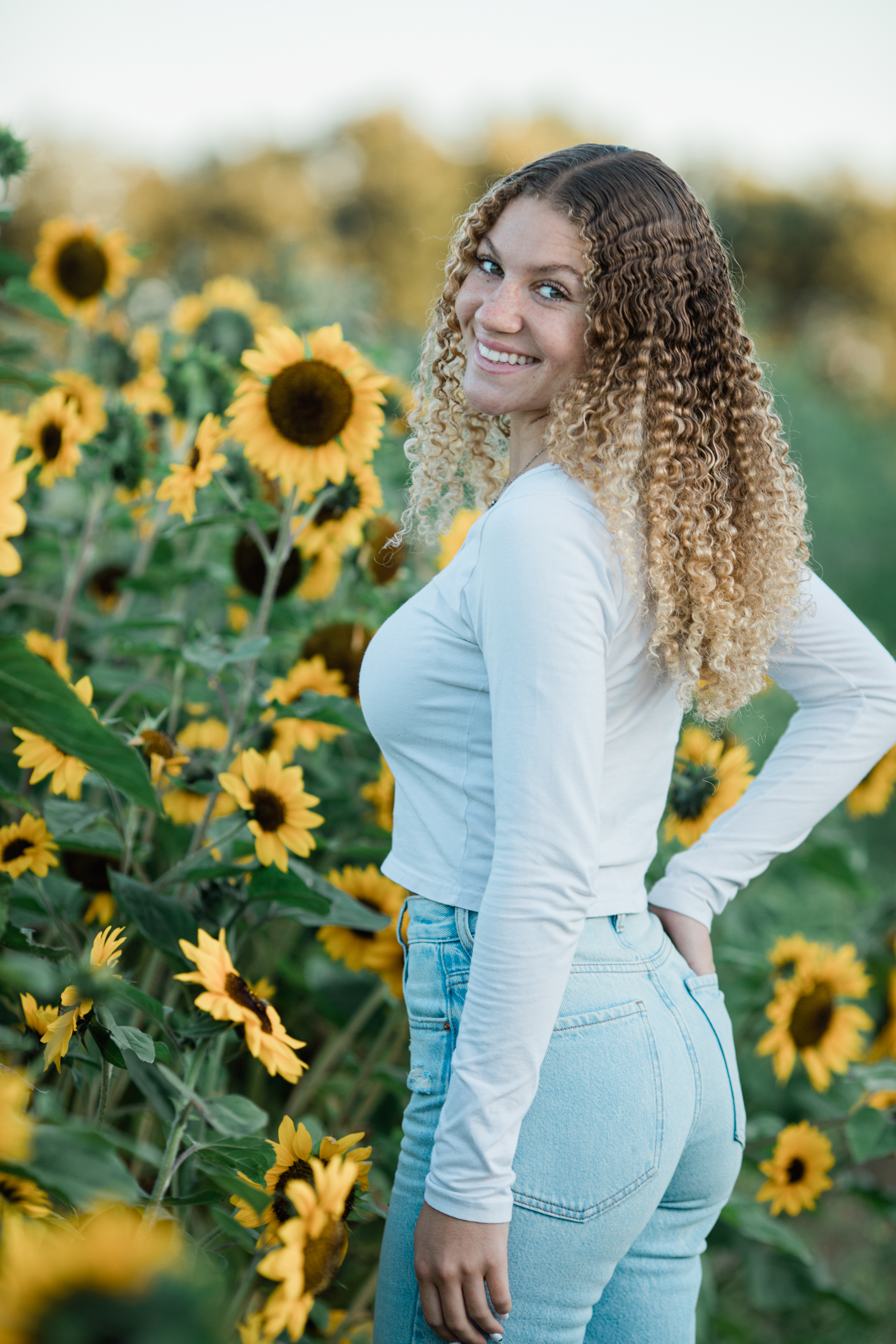 High School Senior Photographed in front of Sunflowers 