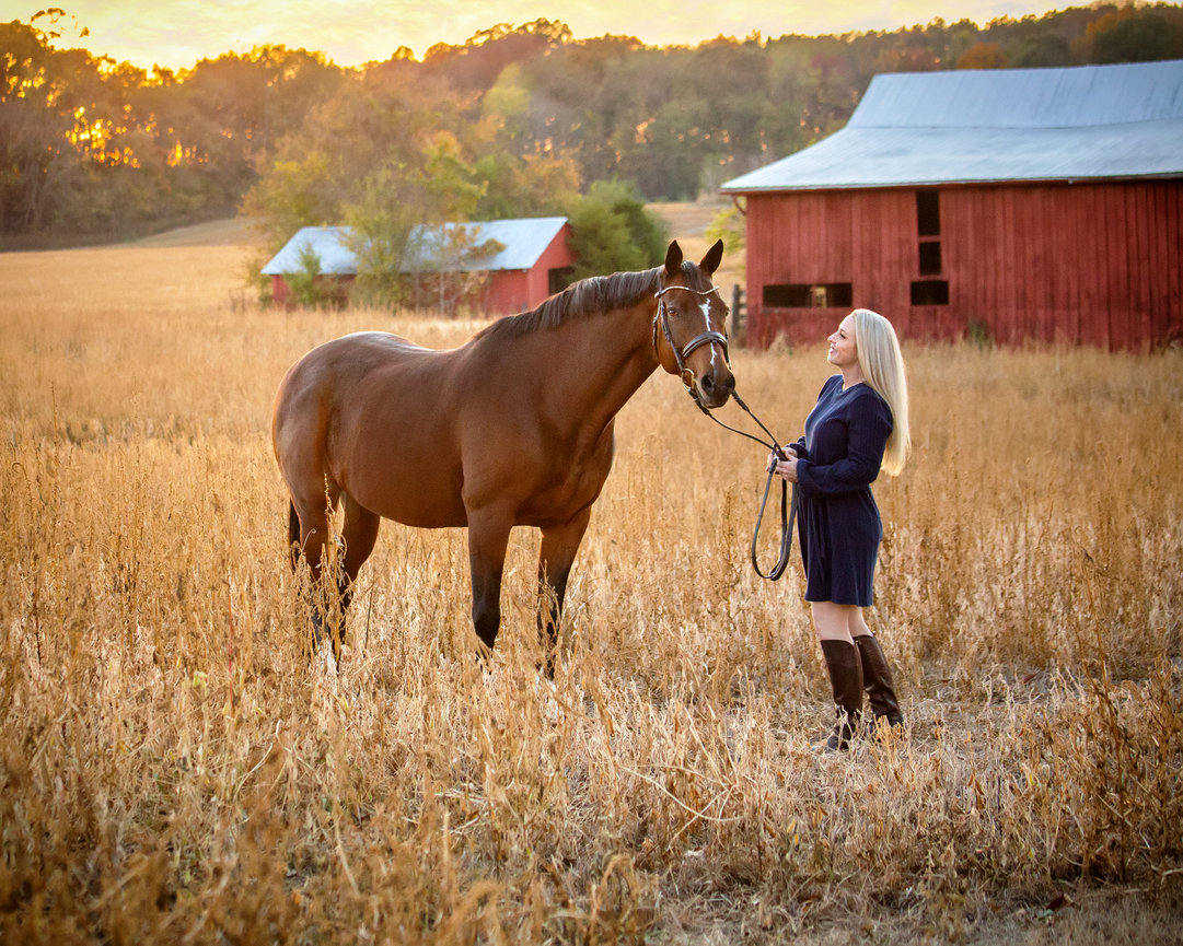 Woman in a navy dress holds a horse's reins in a field at sunset, with a red barn in the background.