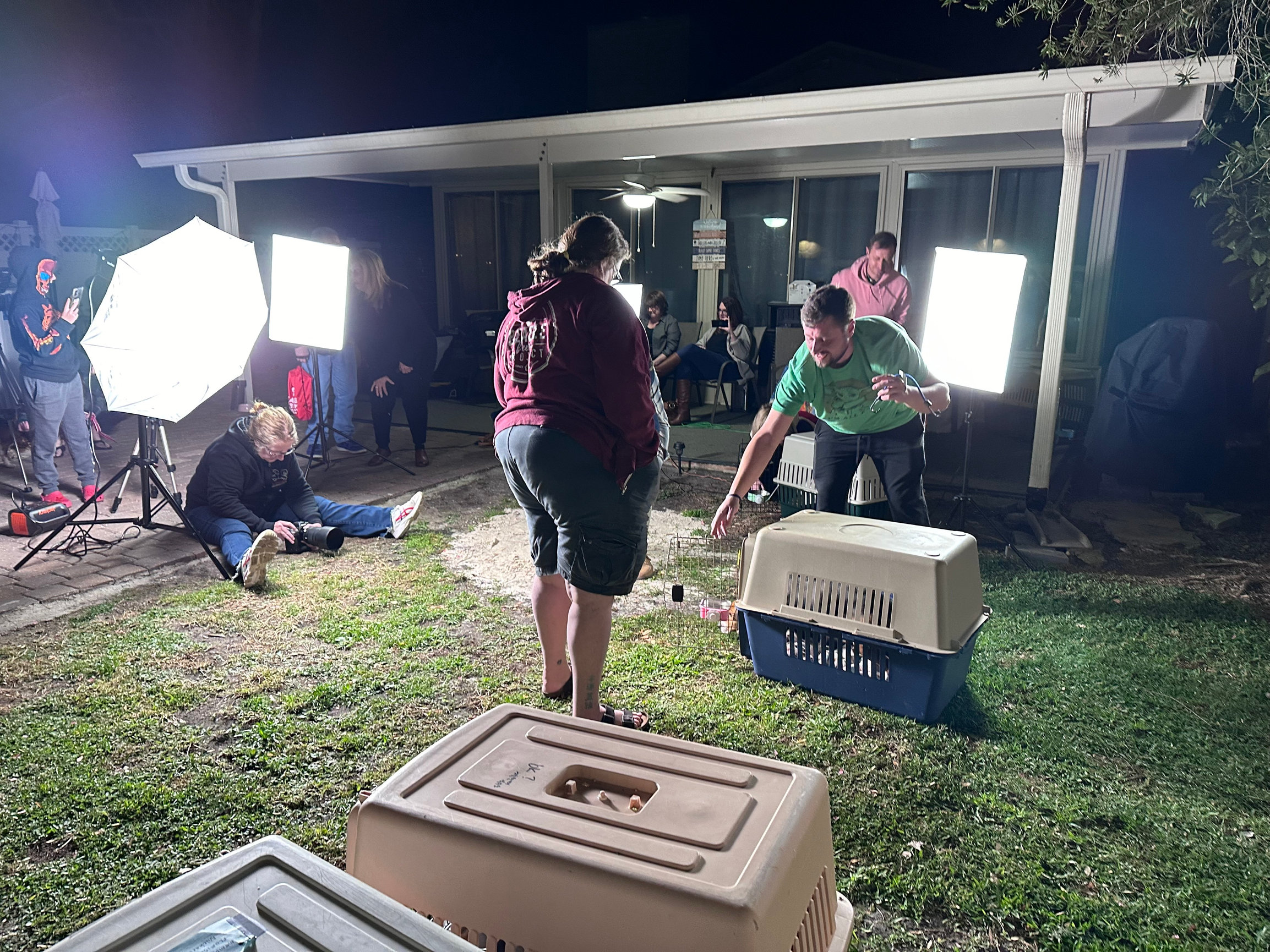 Beagle Freedom Project | Nighttime Photoshoot of Rescued Beagles' First ...