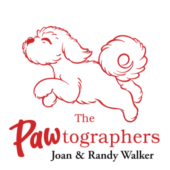 The PAWtographers Logo