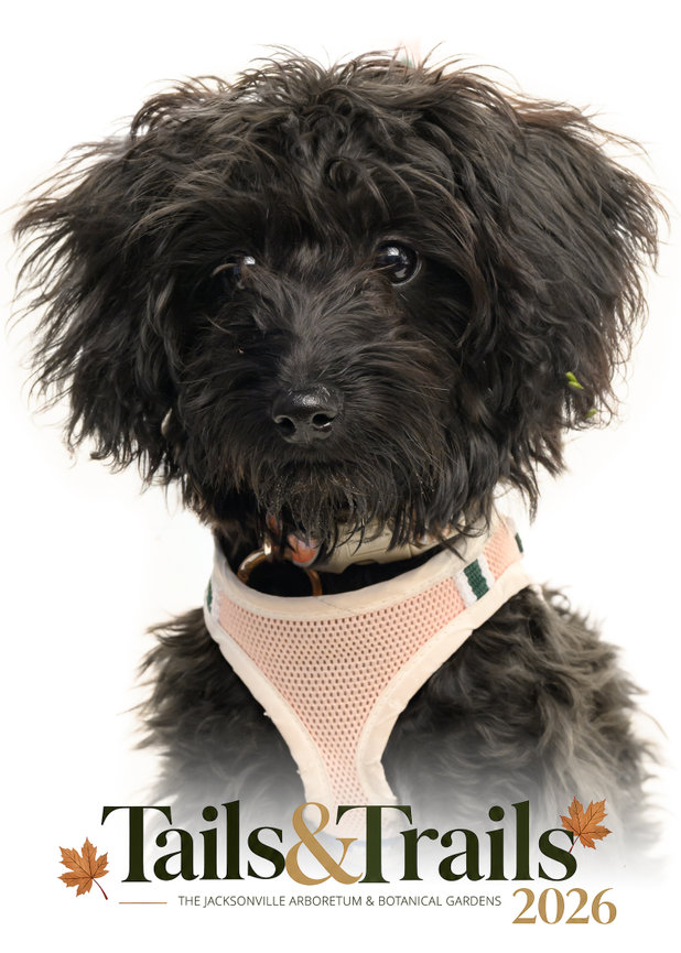 Tails and Trails 2026 dog portrait