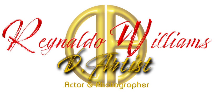 D. Artist, LLC Logo