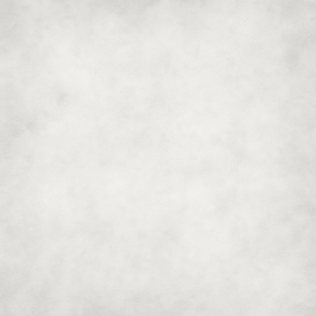 The Headshot Place by Redford Photography Logo