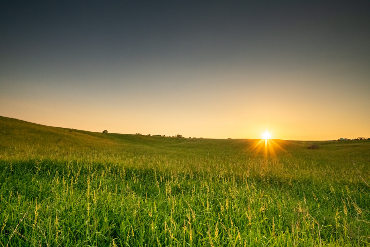Sunset shining over a green field with a low horizon.