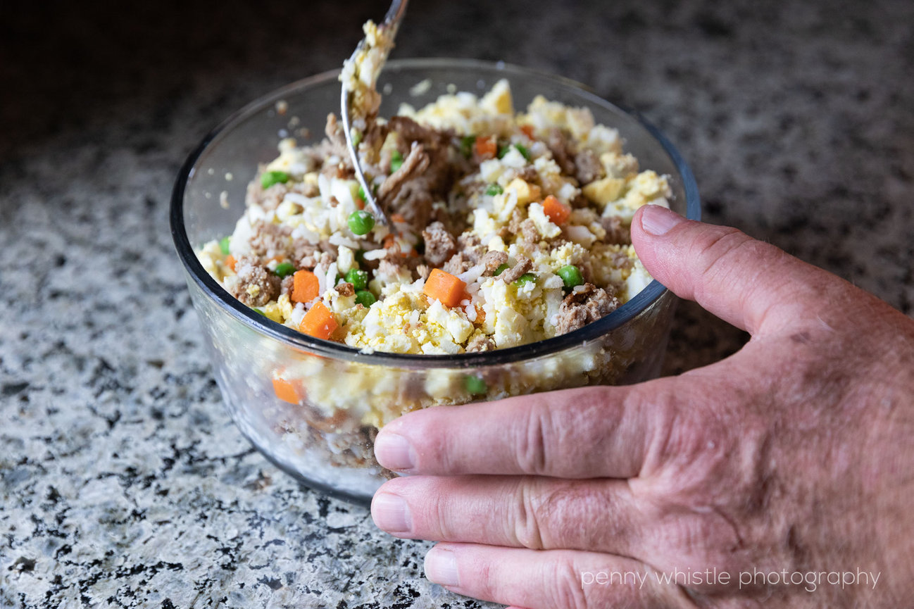 Homemade kidney outlet dog food