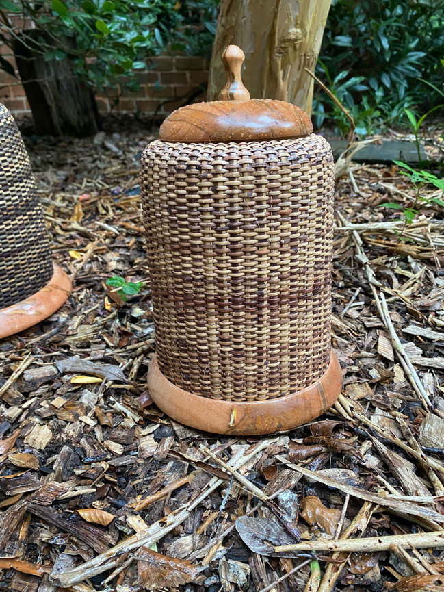 Snake Charmer Storage Basket Set with Lid