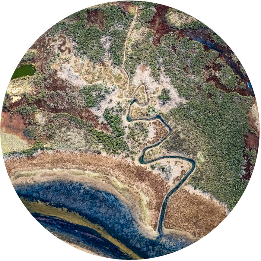 Latest Exhibition Geelong Photography