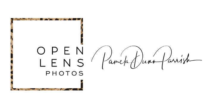 Open Lens Photos, Professional Photography Logo