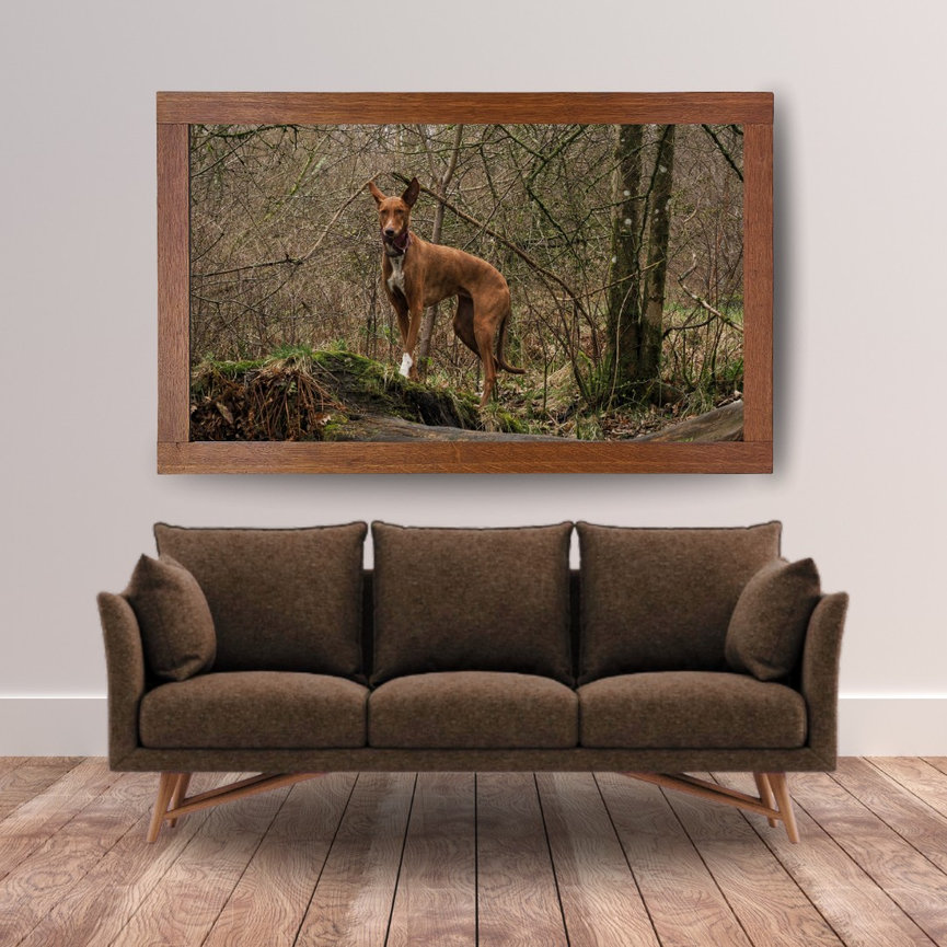 A brown couch on a wooden floor with a framed nature photo of a dog on a forest trail hung on the wall above.